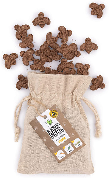 10 Bee Shaped Seed Bombs | Bee Friendly Wildflower Seed Mix | Flower Beebombs Handmade in The UK