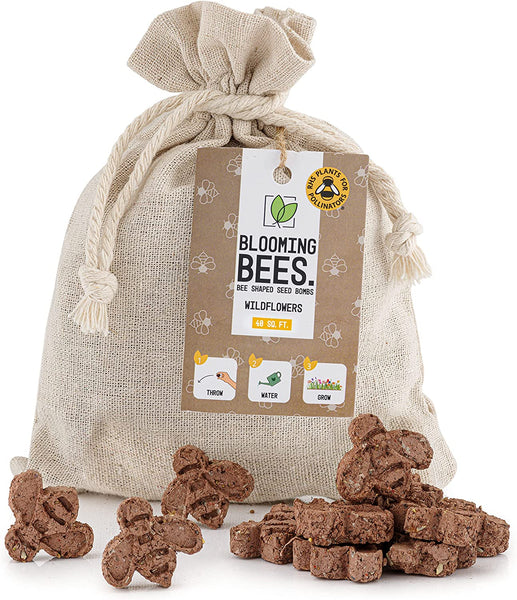 10 Bee Shaped Seed Bombs | Bee Friendly Wildflower Seed Mix | Flower Beebombs Handmade in The UK