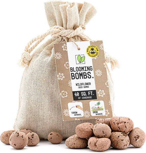 Blooming Bombs Small - 125g - Ball Shaped Wildflower Seed Bombs | Bee Friendly Wildflower Seed Mix | Made in The UK