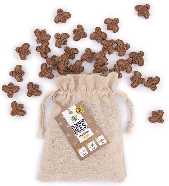 25 Bee Shaped Seed Bombs | Bee Friendly Wildflower Seed Mix | Flower Beebombs Handmade in The UK