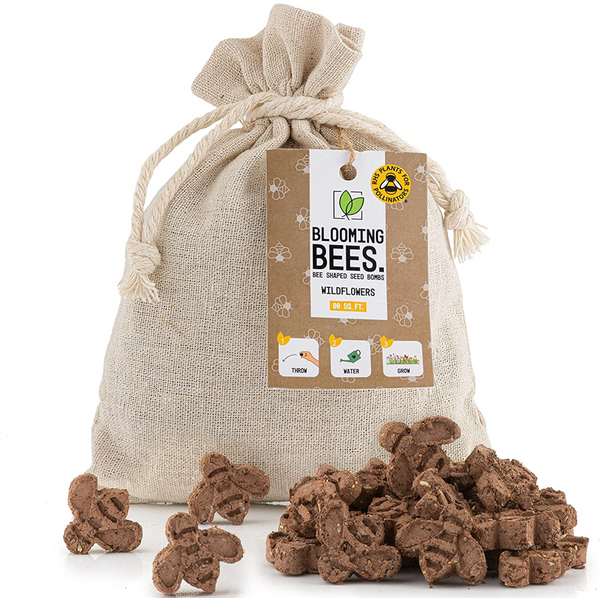 25 Bee Shaped Seed Bombs | Bee Friendly Wildflower Seed Mix | Flower Beebombs Handmade in The UK