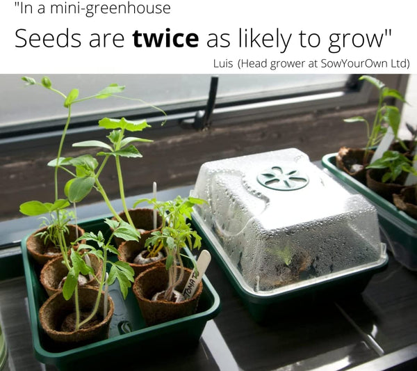 The Kickin' Chilli Box