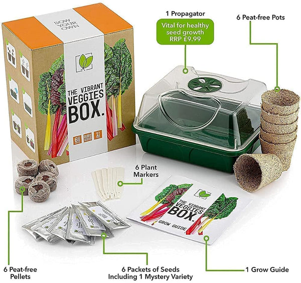 The Vibrant Veggies Box