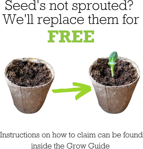 The Summer Fruits Box