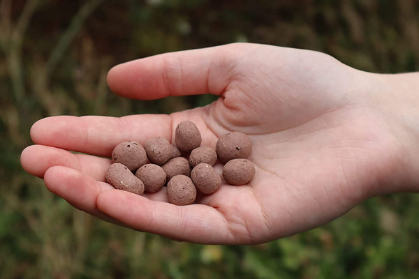 Blooming Bombs Small - 125g - Ball Shaped Wildflower Seed Bombs | Bee Friendly Wildflower Seed Mix | Made in The UK