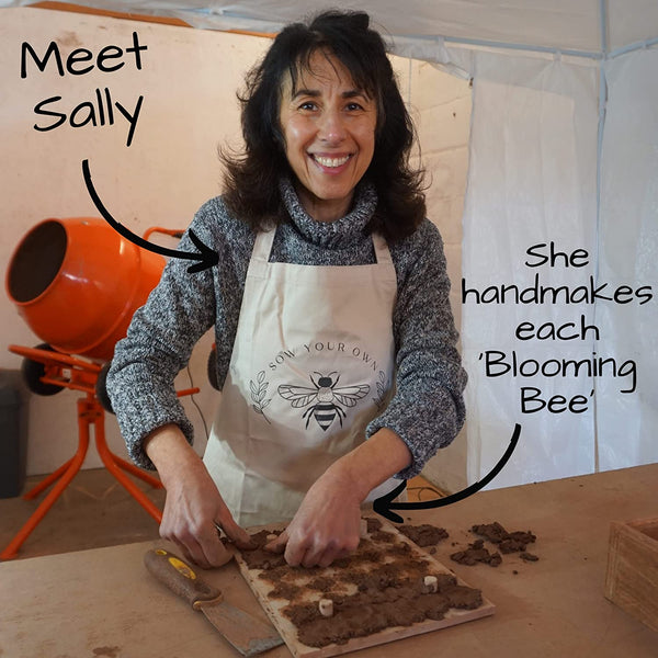 25 Bee Shaped Seed Bombs | Bee Friendly Wildflower Seed Mix | Flower Beebombs Handmade in The UK