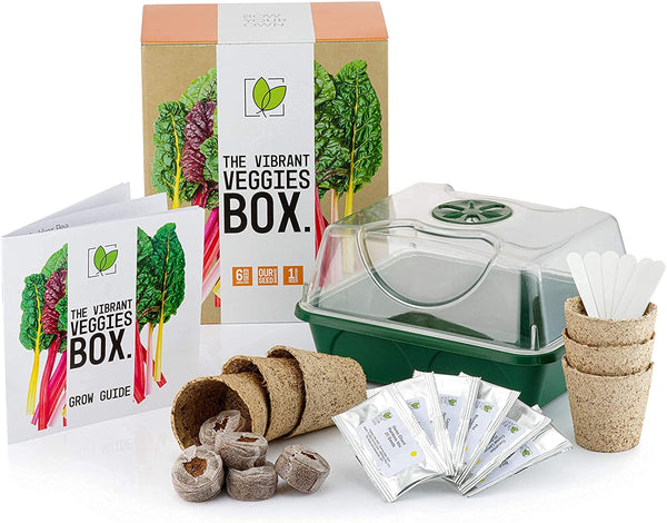 The Vibrant Veggies Box