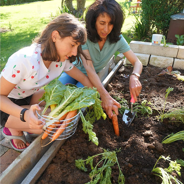 The Vibrant Veggies Box