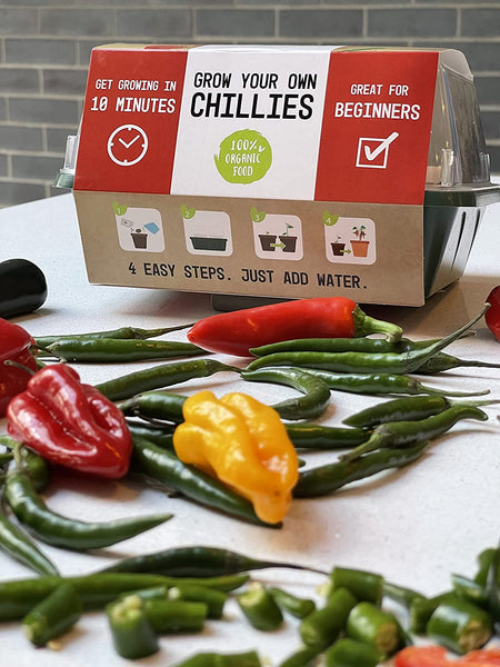 The Kickin' Chilli Box