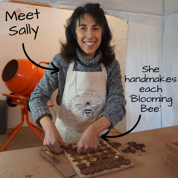 Blooming Bees - Large Bag. 160 square feet of coverage.