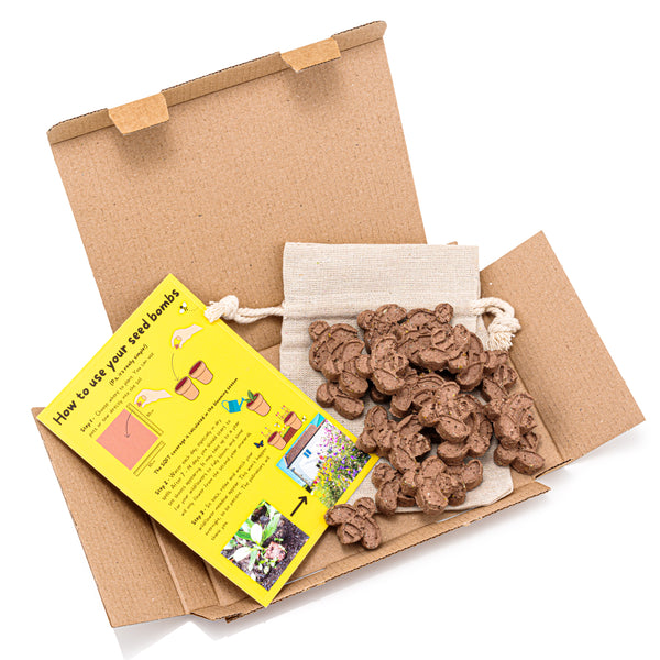 25 Bee Shaped Seed Bombs | Bee Friendly Wildflower Seed Mix | Flower Beebombs Handmade in The UK
