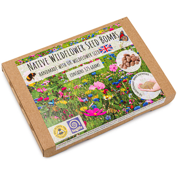 Blooming Bombs - 325g Wildflower Seed Bombs | Bee Friendly Wildflower Seed Mix | Made in The UK