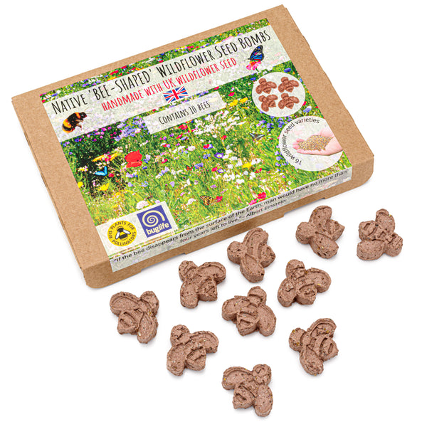 10 Bee Shaped Seed Bombs | Bee Friendly Wildflower Seed Mix | Flower Beebombs Handmade in The UK