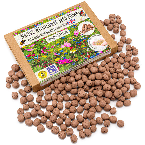 Blooming Bombs - 325g Wildflower Seed Bombs | Bee Friendly Wildflower Seed Mix | Made in The UK
