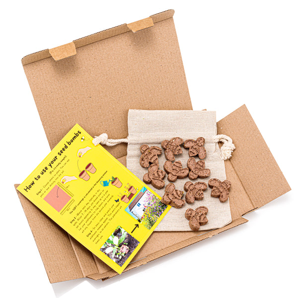 10 Bee Shaped Seed Bombs | Bee Friendly Wildflower Seed Mix | Flower Beebombs Handmade in The UK