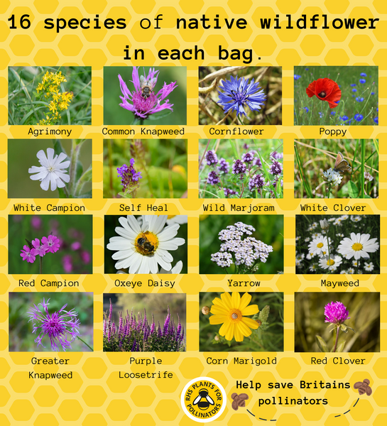 Blooming Bees - Large Bag. 160 square feet of coverage.