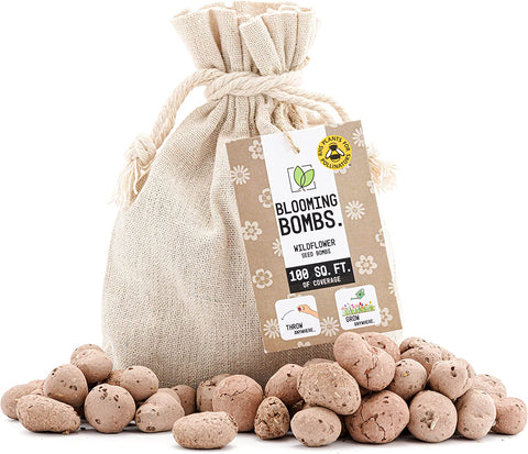 Blooming Bombs - 325g Wildflower Seed Bombs | Bee Friendly Wildflower Seed Mix | Made in The UK