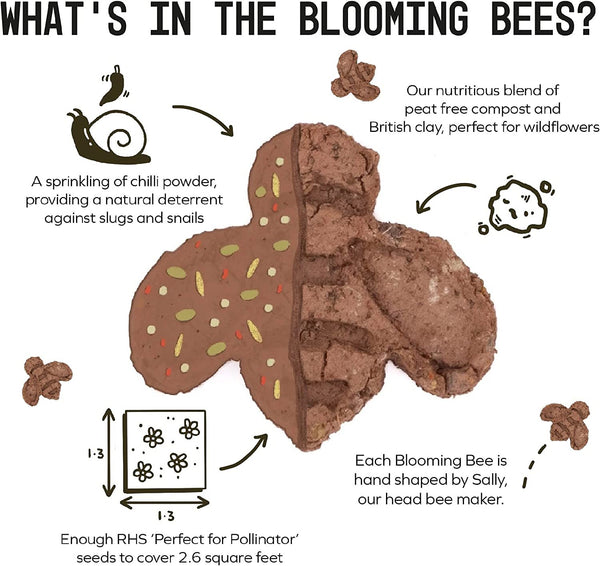 25 Bee Shaped Seed Bombs | Bee Friendly Wildflower Seed Mix | Flower Beebombs Handmade in The UK