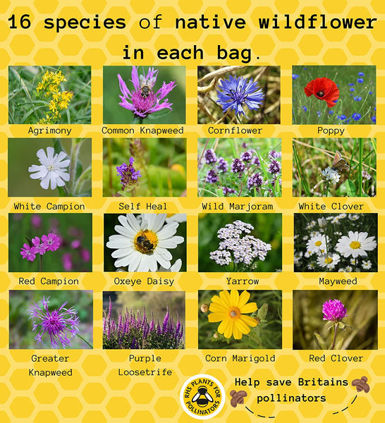 10 Bee Shaped Seed Bombs | Bee Friendly Wildflower Seed Mix | Flower Beebombs Handmade in The UK