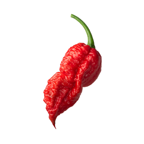Bhut Jolokia (Ghost pepper) Super Hot Chilli Pepper Seeds