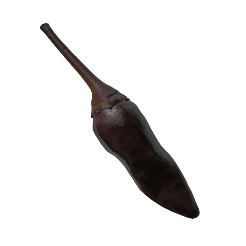 Zimbabwe Black Hot Chilli Pepper Seeds